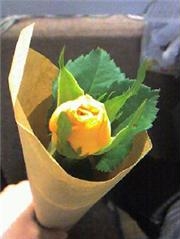 お花2.jpg